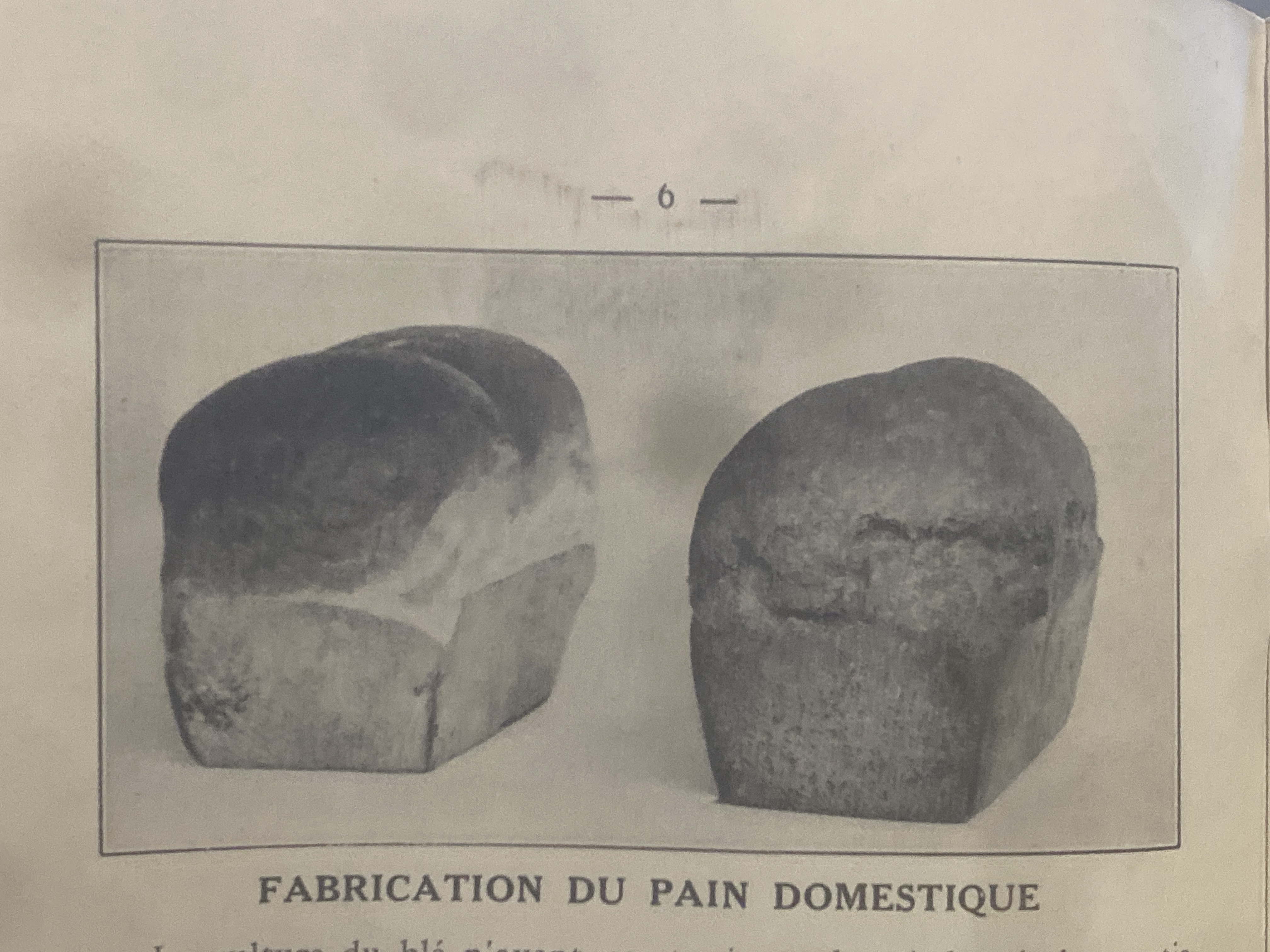 Deux miches de pain domestique sur une table, brochure gouvernementale 1940
