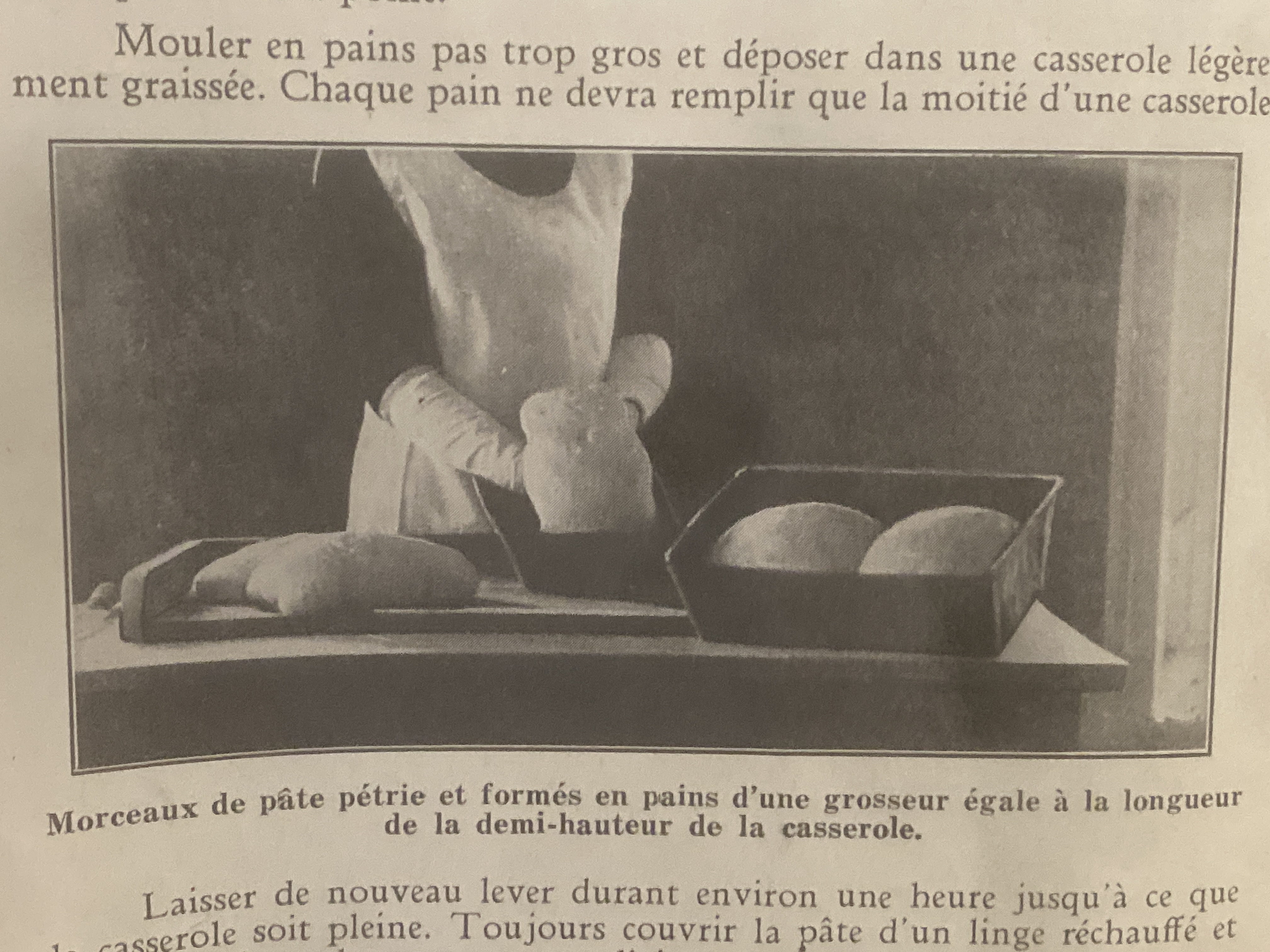 Morceaux de pâte formés en pains et déposés dans des casseroles graissées