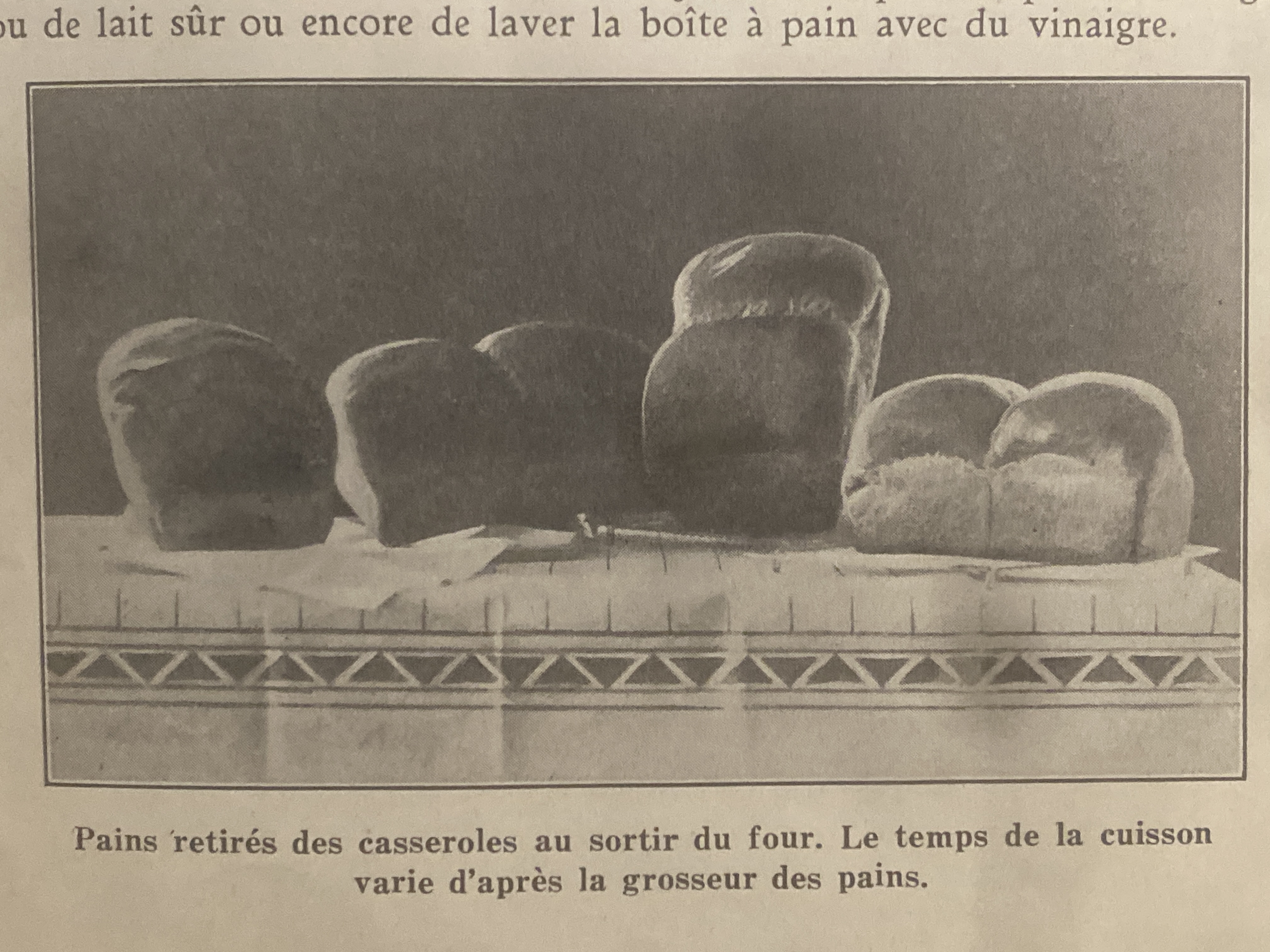 Rangée de pains dorés sortis des casseroles après cuisson