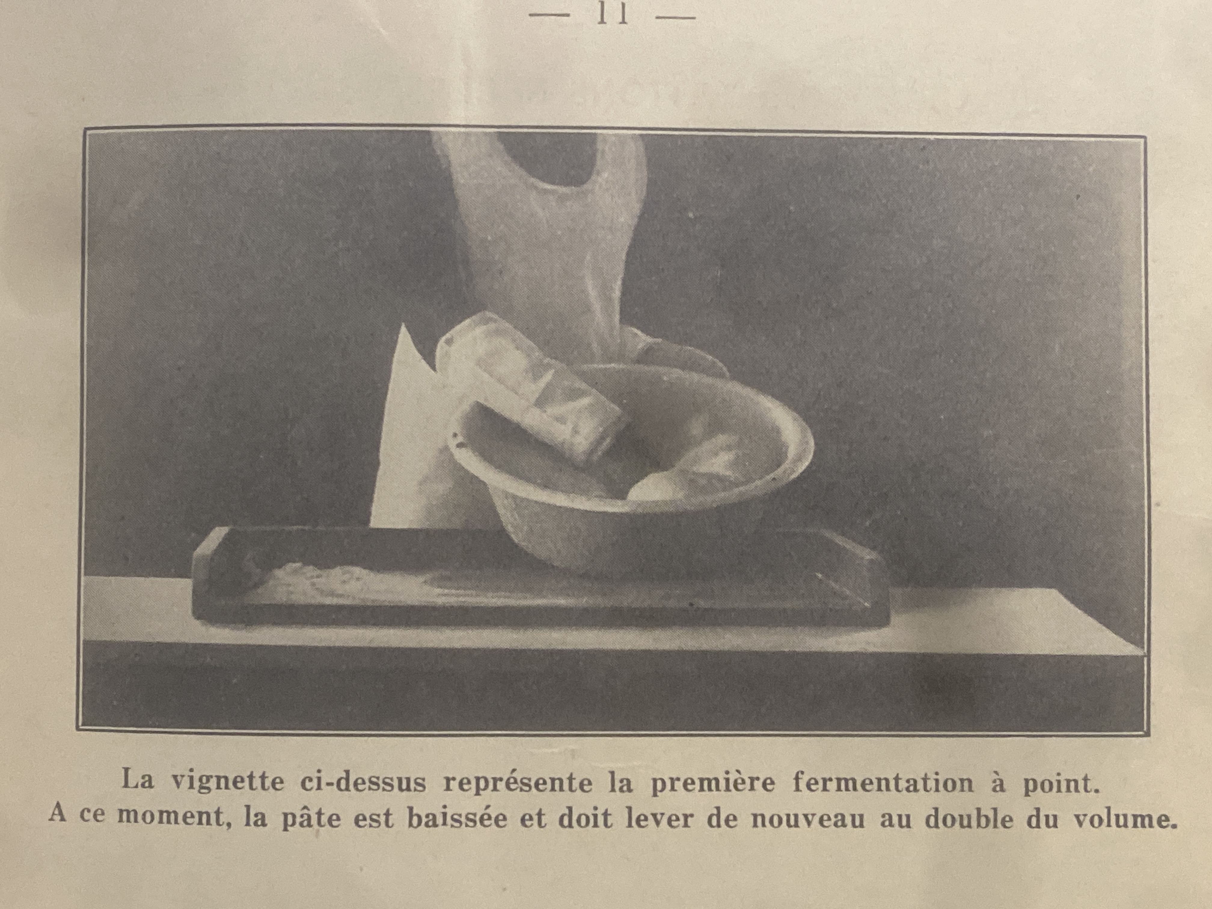 Bol de pâte levée, main et boîte de levure, première fermentation à point